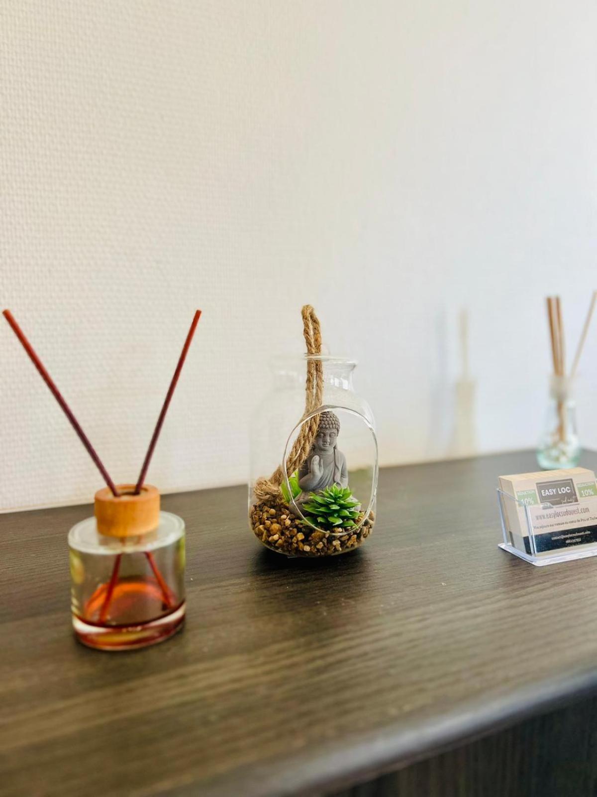 Le Voltaire -2 Chambres- 70M2- Hypercentre-Parking-Wifi Fibre- Nouvelle Literie Tarbes Esterno foto