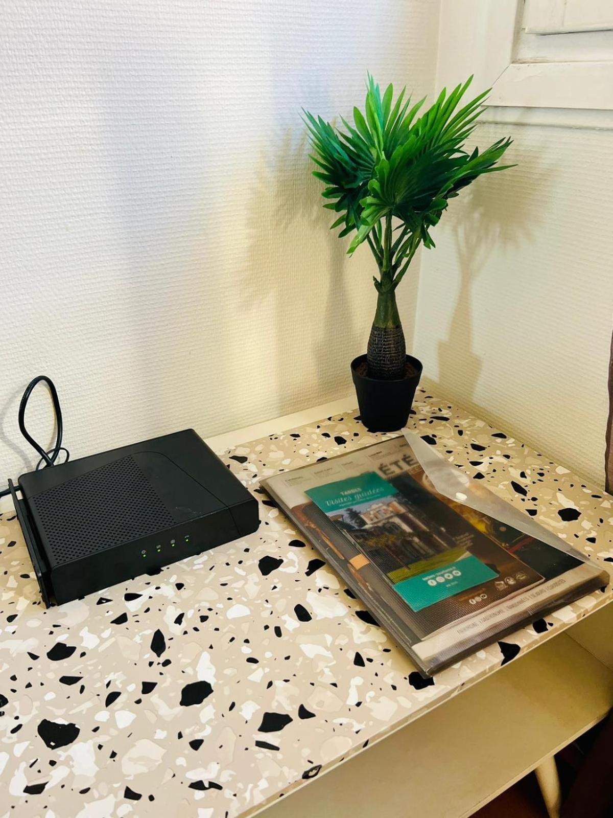 Le Voltaire -2 Chambres- 70M2- Hypercentre-Parking-Wifi Fibre- Nouvelle Literie Tarbes Esterno foto